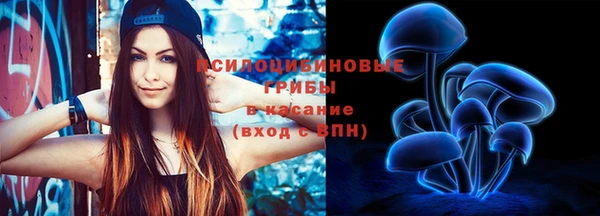 ешки Лагань