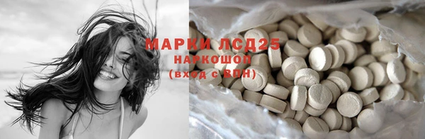 молекула духа Ладушкин