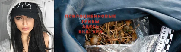 молекула духа Ладушкин