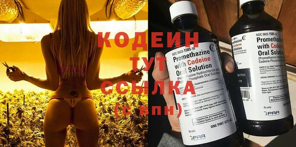 молекула духа Ладушкин