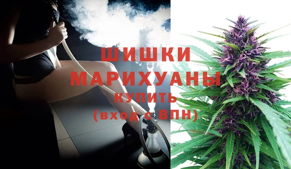 молекула духа Ладушкин