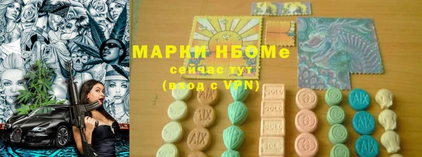 молекула духа Ладушкин
