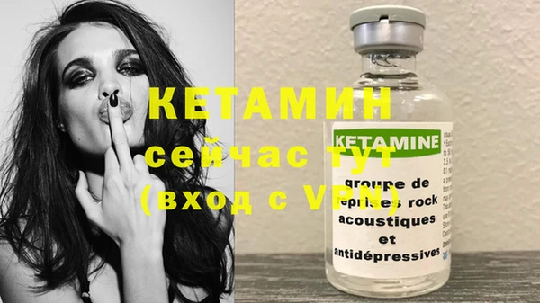 молекула духа Ладушкин