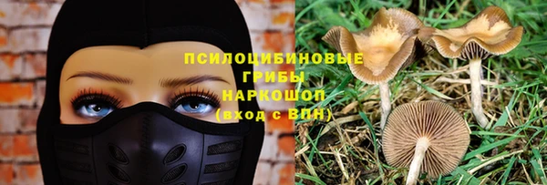молекула духа Ладушкин