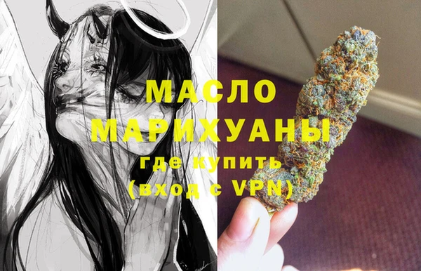 молекула духа Ладушкин