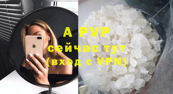 молекула духа Ладушкин