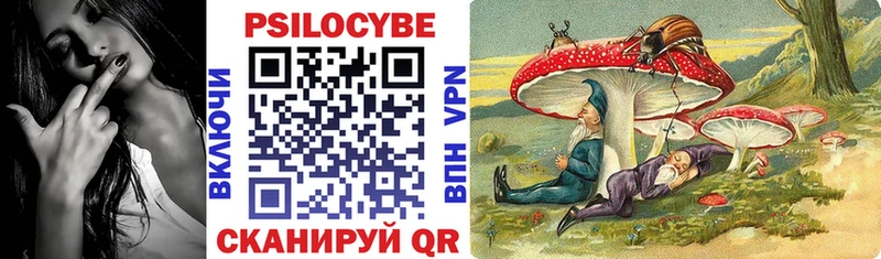 Псилоцибиновые грибы Psilocybe  магазин    Шилка 