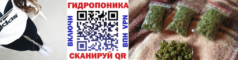 МАРИХУАНА план  цены наркотик  OMG онион  Шилка 